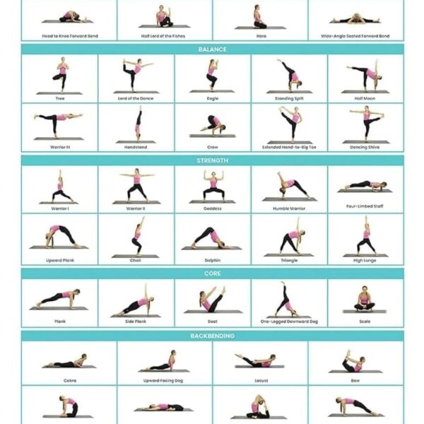 Vive Yoga Poster - Poses for Beginners and Experts - Mat Exercise Home Gym Workout Accessories Set- Double Sided Laminated Flow Chart Accessory - Instructional Guided Routine - for Women, Men
