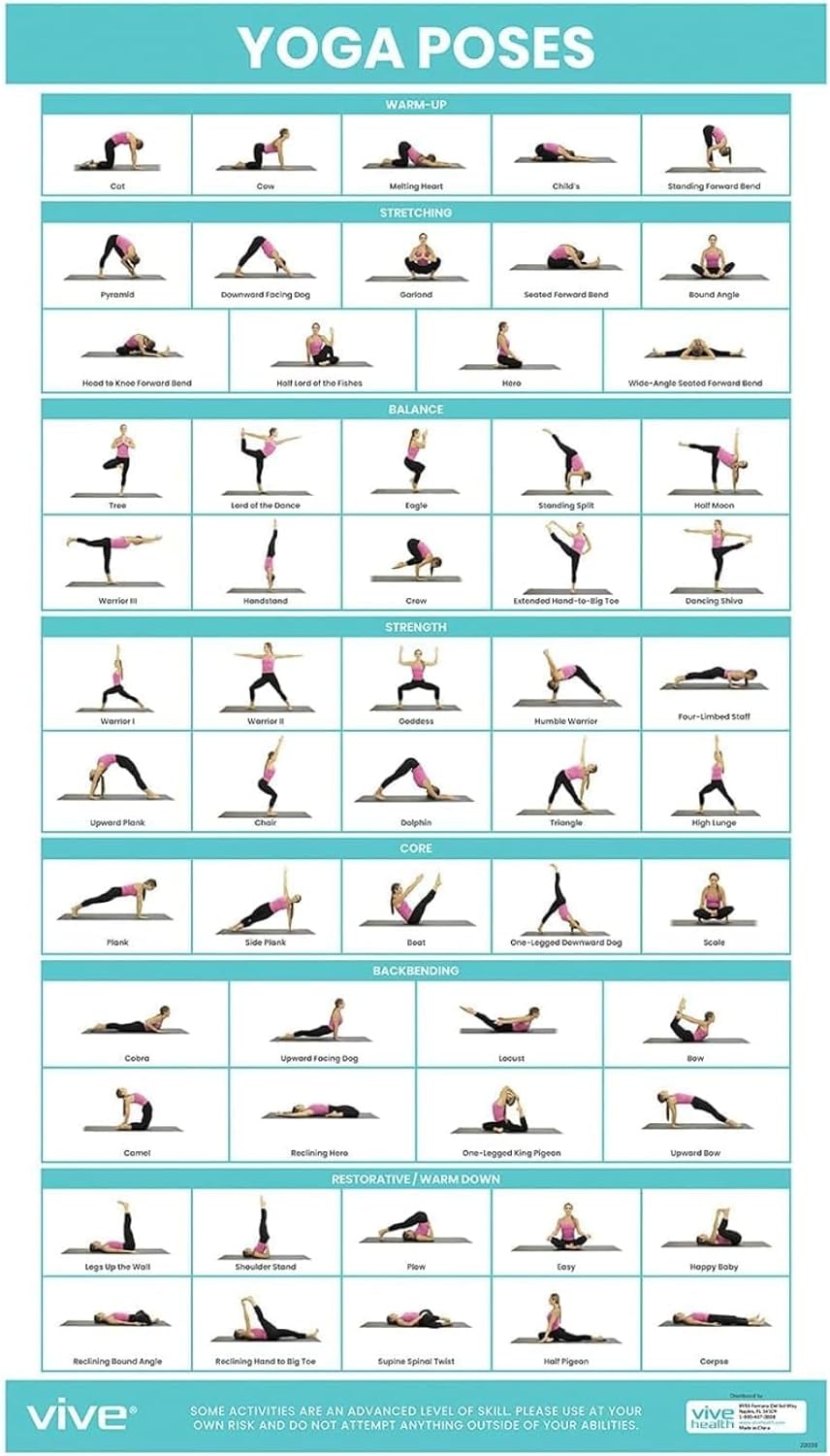 Vive Yoga Poster - Poses for Beginners and Experts - Mat Exercise Home Gym Workout Accessories Set- Double Sided Laminated Flow Chart Accessory - Instructional Guided Routine - for Women, Men Vive Yoga Poster - Poses for Beginners and Experts - Mat Exercise Home Gym Workout Accessories Set- Double Sided Laminated Flow Chart Accessory - Instructional Guided Routine - for Women, Men