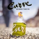 Curve Men’s Cologne Fragrance Spray, Spicy Wood Magnetic Scent for Day or Night, 6.8 Fl Oz