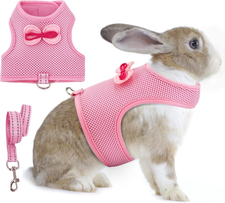 AIITLE No-Choke Rabbit Harness & Leash - Double-Layer Mesh, Reflective Safety Strap for Indoor/Outdoor Use, Perfect for Small Pets (Squirrels, Puppies, Holland Lops) Pink M