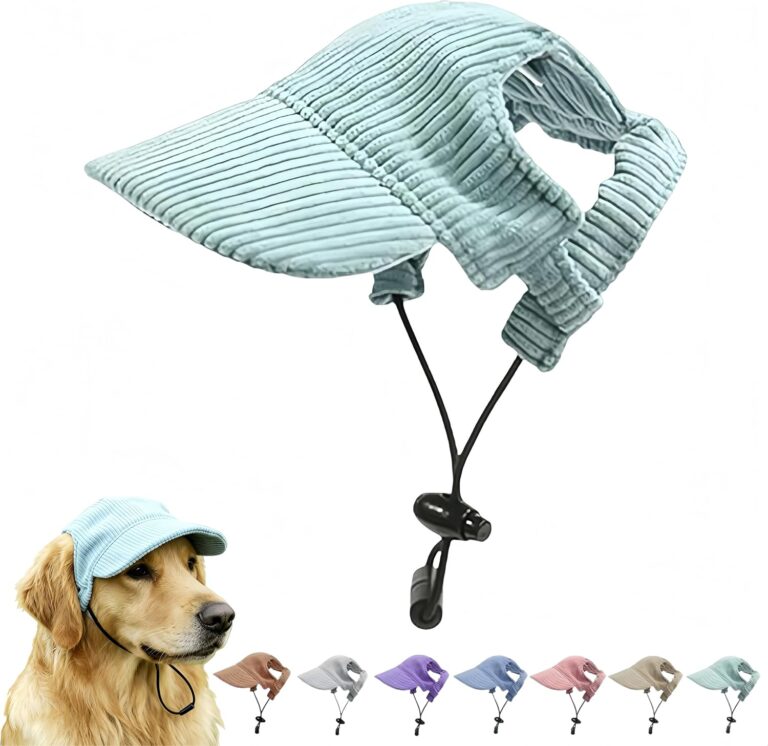 Pet Baseball Cap with Ear Holes - Multi-Color Sun Visor Hat for Dogs & Cats, Summer & Fall Beach Headwear for Puppies & Kittens (Green, XL)