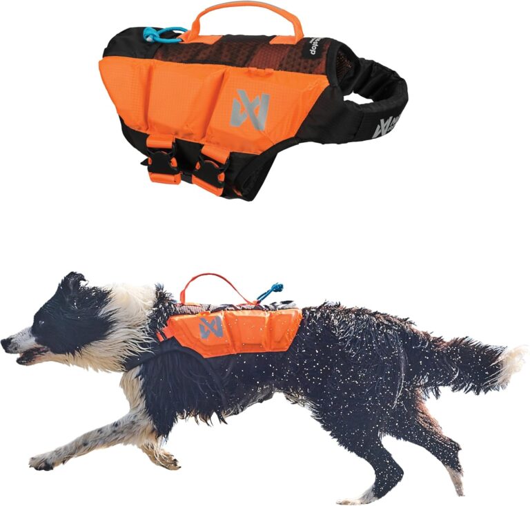Non-stop dogwear Protector Life Jacket, Innovative Dog Life Jacket, Breathable Dog Swimming Vest with Ergonomic Design for Full Freedom of Movement, Black/Orange, Size 5