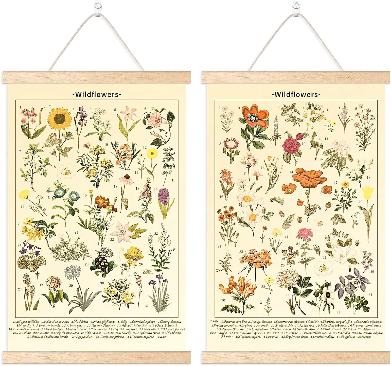 Chenkaiyang 2 Pcs Vintage Hanging Poster,Flowers Wall Hanging Botanical Rustic Retro Wall Art Prints Flower Chart Posterfor Living Room Decor,12.7 X 21.6 Inch Chenkaiyang 2 Pcs Vintage Hanging Poster,Flowers Wall Hanging Botanical Rustic Retro Wall Art Prints Flower Chart Posterfor Living Room Decor,12.7 X 21.6 Inch