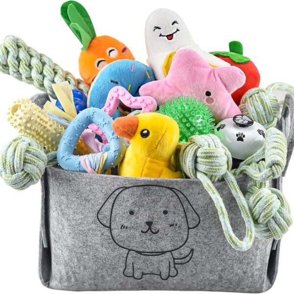 LECHONG 24 Pack Puppy Chew Toys, Dog Teething Toys with Storage Bin, Dog Rope Toys and Squeaky Toys for Boredom, Interactive Dog Toys for Small & Medium Breeds