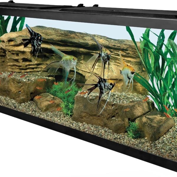 Tetra Complete LED Aquarium Kit for Fish, 55 Gallons, Includes White LED Lights, Filter, Heater and Accessories