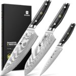 WIZEKA Damascus Chef Knife Set: 3 PCS,Super Sharp Kitchen Knives: Made of Japanese Steel VG10: Full Tang Professional Chef Knife Set With G10 Ergonomic Handle, Mothers Day