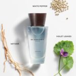 Burberry Touch Eau de Toilette Fresh Aromatic Cologne With Notes of Mandarin Tree, Musk, Cedarwood & Vetiver Long Lasting Fragrance for Everyday Wear Luxury Perfume for Men
