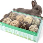 andwe Small Animals Play & Activity Balls Rolling Chew Toys for Rabbits Guinea Pigs Chinchilla