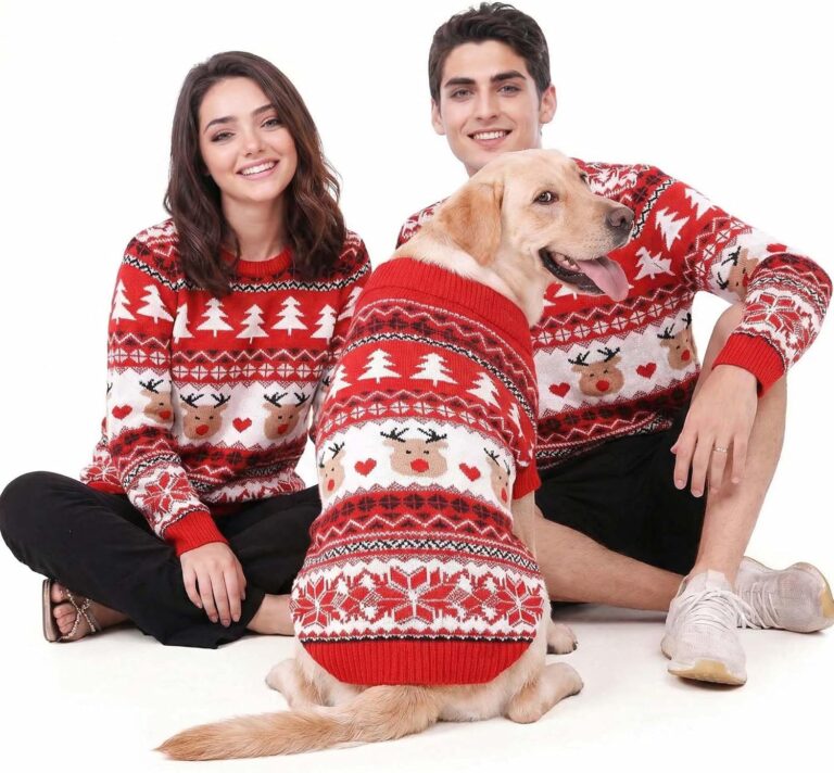 Family Matching Dog and Owner Clothes Outfits,Christmas Pet Cat Sweater Costume for Small Medium Extra Large Dogs/Women/Men,Only for Pet L