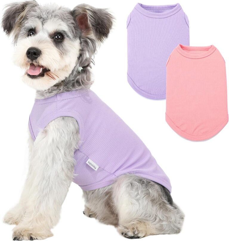 2 Pack Dog Clothes for Small Dogs Summer Dog Shirts Girl Boy Puppy T-Shirts Vest Blank Soft and Cool Pet Clothing Sleeveless Medium Large Dog Outfit Lightweight (Purple+L-Pink, X-Small)