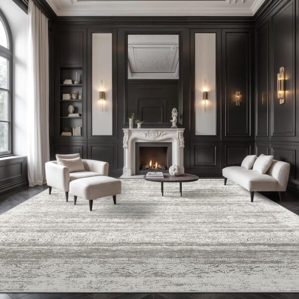 Washable Rugs 8x10 for Living Room - Stain Resistant Non-Shedding Modern Abstract Area Rug, Soft Thin Indoor No Slip Carpet for Bedroom, Dining Table, Home Office - Charcoal Grey (8'x10')
