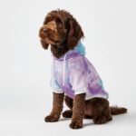 Spark Paws Dog Hoodie  Premium Dog Sweater for Small, Medium, and Large Dogs | Warm Outfits for French Bulldogs, Pitbull, Puppy, Winter Jacket Alternative - 90s Retro Sky Dye - 2XL