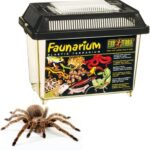 Exo Terra Faunarium Small PT2255  Plastic Reptile Terrarium and Transport Container for Lizards, Spiders & Amphibians