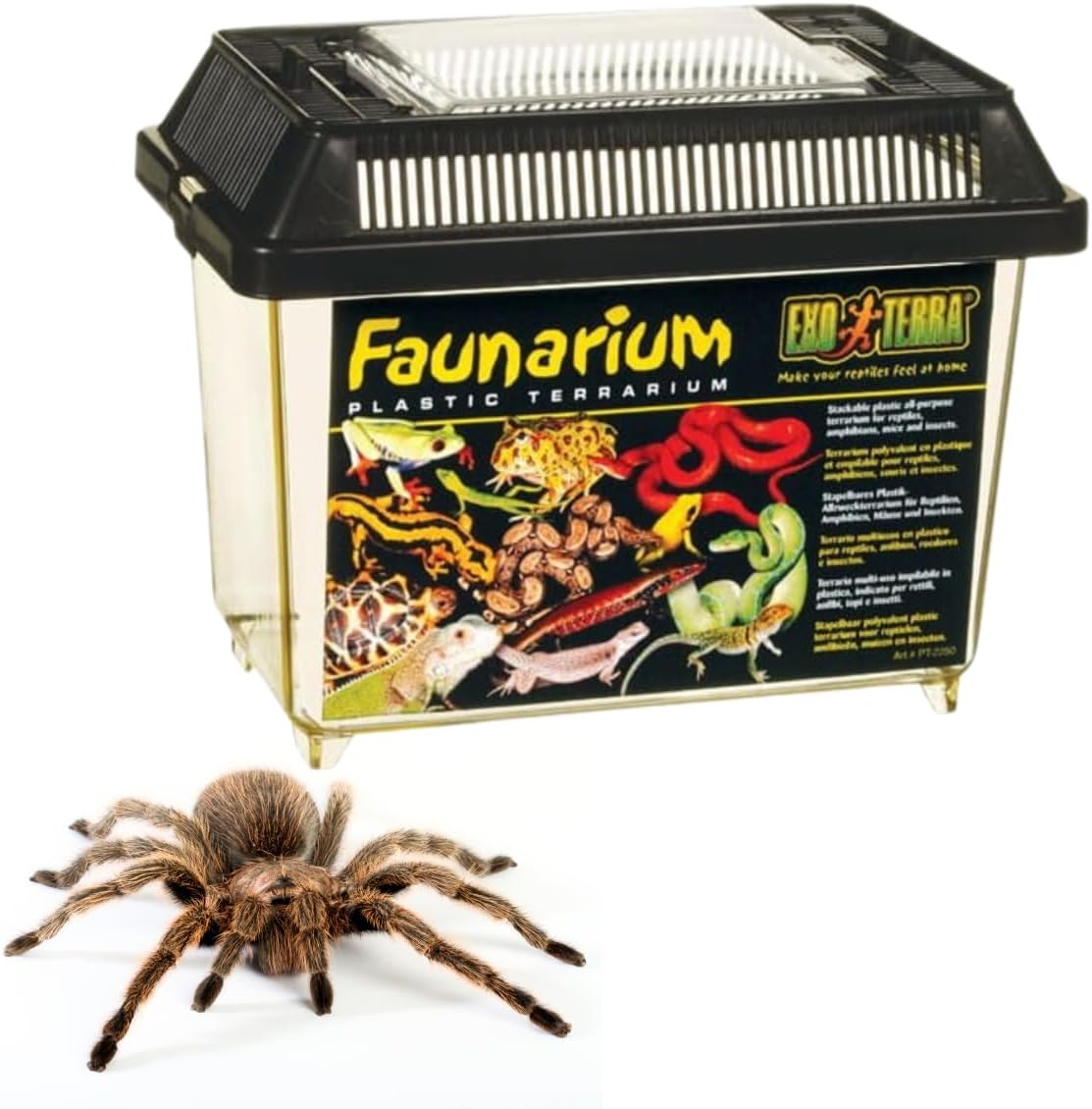 Exo Terra Faunarium Small PT2255 Plastic Reptile Terrarium and Transport Container for Lizards, Spiders & Amphibians Exo Terra Faunarium Small PT2255 Plastic Reptile Terrarium and Transport Container for Lizards, Spiders & Amphibians