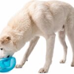 Outward Hound by Planet Dog Snoop Dog Toy  TreatDispenser Puzzle Ball, Interactive Slow Feeder, Medium to Large Dogs, Bouncy & Mint-Infused, Blue, 5"