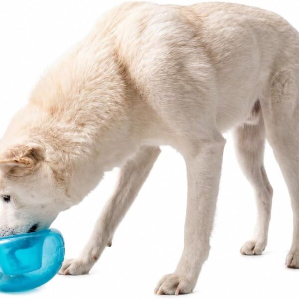 Outward Hound by Planet Dog Snoop Dog Toy  TreatDispenser Puzzle Ball, Interactive Slow Feeder, Medium to Large Dogs, Bouncy & Mint-Infused, Blue, 5"