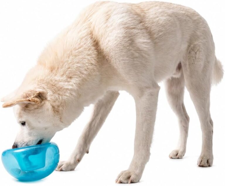 Outward Hound by Planet Dog Snoop Dog Toy  TreatDispenser Puzzle Ball, Interactive Slow Feeder, Medium to Large Dogs, Bouncy & Mint-Infused, Blue, 5"