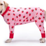 Dog Recovery Suit After Surgery Female Male, Medium Large Dog Neuter Shirt Cone Alternatives Prevent Licking Surgical Onesies (Strawberry, 4XL)