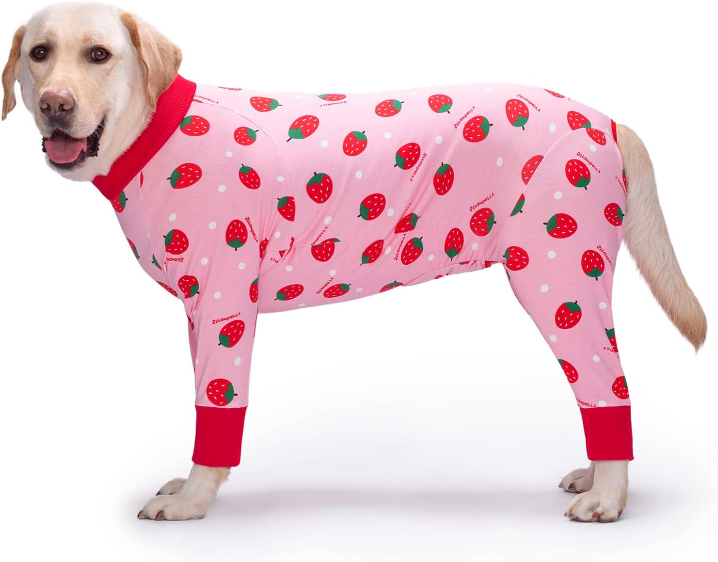 Dog Recovery Suit After Surgery Female Male, Medium Large Dog Neuter Shirt Cone Alternatives Prevent Licking Surgical Onesies (Strawberry, 4XL) Dog Recovery Suit After Surgery Female Male, Medium Large Dog Neuter Shirt Cone Alternatives Prevent Licking Surgical Onesies (Strawberry, 4XL)
