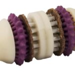 PetSafe Busy Buddy Bristle Bone Dog Chew Toy - Treat Holding Toothbrush Toy for Hard Chewers - Helps Keep Your Dog's Teeth Clean - Durable, Interactive - Purple, Small