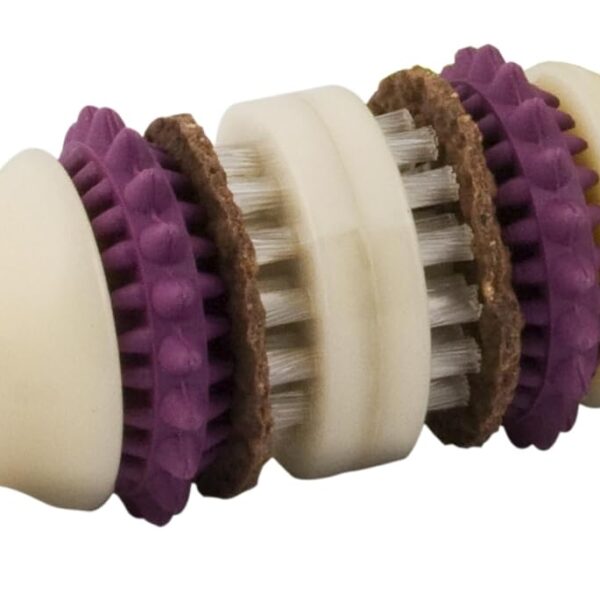PetSafe Busy Buddy Bristle Bone Dog Chew Toy - Treat Holding Toothbrush Toy for Hard Chewers - Helps Keep Your Dog's Teeth Clean - Durable, Interactive - Purple, Small