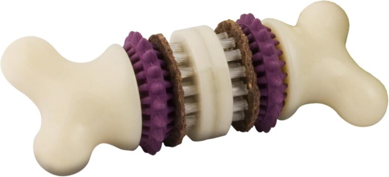 PetSafe Busy Buddy Bristle Bone Dog Chew Toy - Treat Holding Toothbrush Toy for Hard Chewers - Helps Keep Your Dog's Teeth Clean - Durable, Interactive - Purple, Small