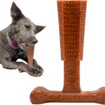 SPOT Bam-Bones Plus T Bone  Bamboo Fiber & Nylon Dog Chew Toy for Moderate to Aggressive Chewers, Durable Long Lasting & Non-Splintering, Beef Flavor Toy for Adult Dogs & Puppies Under 60 lbs, 6 in