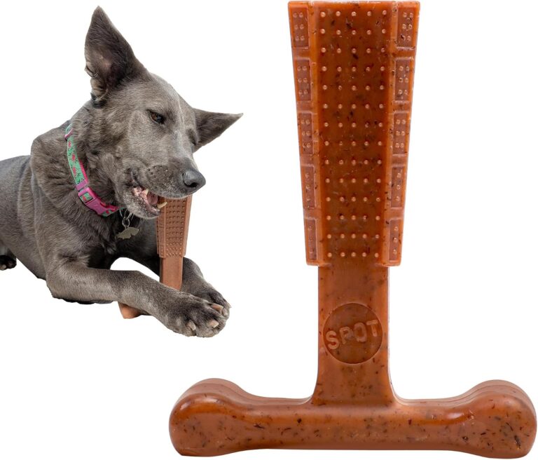 SPOT Bam-Bones Plus T Bone  Bamboo Fiber & Nylon Dog Chew Toy for Moderate to Aggressive Chewers, Durable Long Lasting & Non-Splintering, Beef Flavor Toy for Adult Dogs & Puppies Under 60 lbs, 6 in