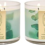 Bath & Body Works Eucalyptus Spearmint 3-Wick Candle - Scented Candle for At-Home Use - Long-Lasting, Room-Filling Fragrance - High Fragrance Oil Concentration - Soy Wax Blend - 2-Pack