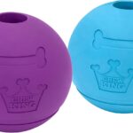 Chew King Fetch Balls Extremely Durable Natural Rubber Toy 4 inch, 2 Pack (CM-10031-CS01)