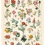 Vintage Wildflowers Poster Botanical Wall Art Prints Colorful Rustic Style of Floral Wall Hanging Illustrative Reference Flower Chart Poster for Living Room Office Bedroom Decor Frame 15.7 x 23.6 Inch