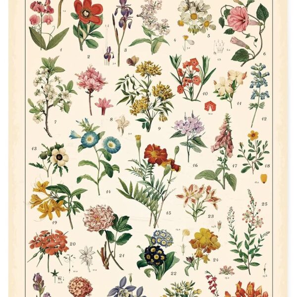 Vintage Wildflowers Poster Botanical Wall Art Prints Colorful Rustic Style of Floral Wall Hanging Illustrative Reference Flower Chart Poster for Living Room Office Bedroom Decor Frame 15.7 x 23.6 Inch