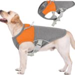 AOFITEE Cooling Vest for Dogs, Breathable Dog Cooling Vest with Harness D-Ring, Dogs UV Protection Shirt Pet Cooler Jacket, Lightweight Dog Sun Shirt for for Summer Hot Weather, Orange L