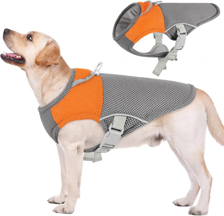 AOFITEE Cooling Vest for Dogs, Breathable Dog Cooling Vest with Harness D-Ring, Dogs UV Protection Shirt Pet Cooler Jacket, Lightweight Dog Sun Shirt for for Summer Hot Weather, Orange L
