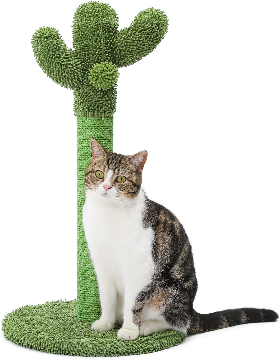 Made4Pets Cat Scratching Post, 25.6" Cactus Cat Scratcher Kitten Scratch Post with Sisal Rope for Indoor Cats Claw Scratcher, Vertical Green Cat Tree with Dangling Ball for Kitties Medium Made4Pets Cat Scratching Post, 25.6" Cactus Cat Scratcher Kitten Scratch Post with Sisal Rope for Indoor Cats Claw Scratcher, Vertical Green Cat Tree with Dangling Ball for Kitties Medium