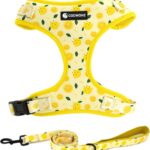 Dog Harness and Leash Set, Adjustable Dog Harness, Dog Leash, No Pull No Choke Puppy Harnesses for Walking Training for Small, Medium Pet (Lemon, S(Chest 13-19", Neck 9.5-13.1"))