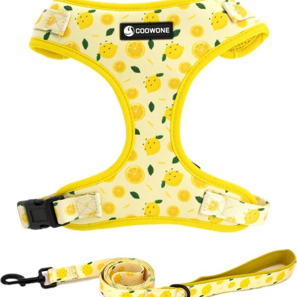 Dog Harness and Leash Set, Adjustable Dog Harness, Dog Leash, No Pull No Choke Puppy Harnesses for Walking Training for Small, Medium Pet (Lemon, S(Chest 13-19", Neck 9.5-13.1"))