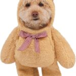 Rubies Walking Teddy Bear Pet Costume for Dogs or Cats, Small