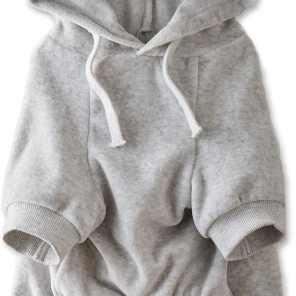 Pet Passion Cooper II Organic Cotton Velour Dog Hoodie Pet Coat for Small, Medium and Large Dogs, Light Heather Gray, Small