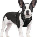 rabbitgoo Dog Harness No Pull with 2 Leash Clips, Adjustable Soft Padded, Reflective Oxford No Choke Pet Vest with Easy Control Handle for Small Dogs, Black, S