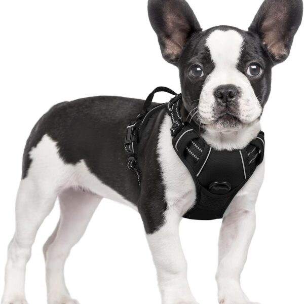 rabbitgoo Dog Harness No Pull with 2 Leash Clips, Adjustable Soft Padded, Reflective Oxford No Choke Pet Vest with Easy Control Handle for Small Dogs, Black, S
