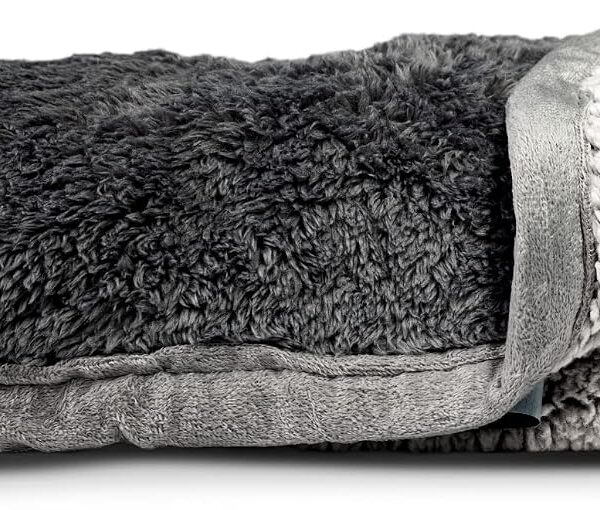 Pet Parents PAWTECT Blanket Waterproof Premium Dog, CAT, and Puppy Blanket, Slate, Small
