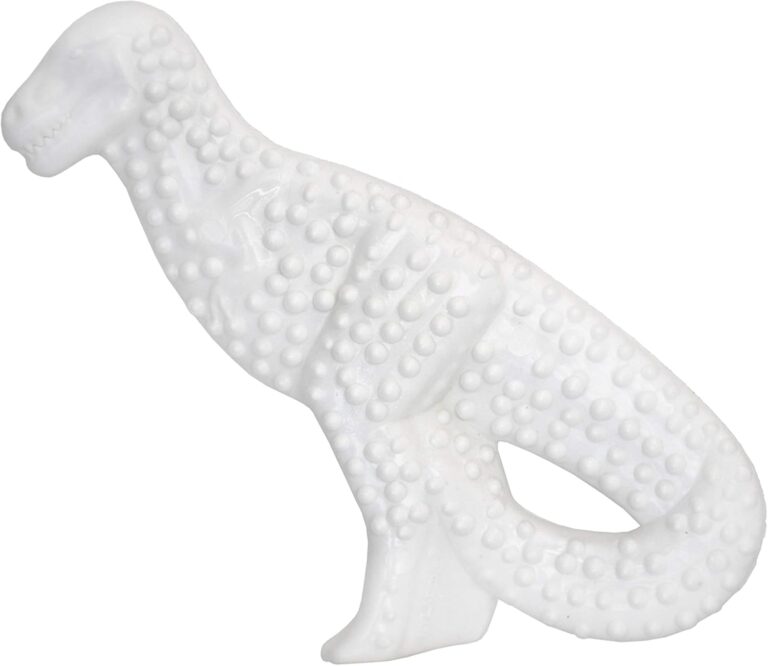 Nylabone Dental Dinosaur Power Chew Toy for Dogs, Dog Toys for Aggressive Chewers, Chicken Flavor, Small - Up to 25 lbs, 1 Count