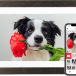 BIHIWOIA 10.1'' Frameo Digital Picture Frame, 32GB WiFi Digital Photo Frame, 1280x800 IPS Touch Screen, Auto-Rotate, Slideshow, Send Photos/Videos via Free App(Black Wood Frame)