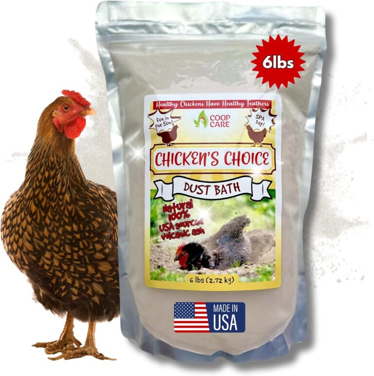 Chicken's Choice Chicken Dust Bath, 6 lb Natural Volcanic Ash Dust Bath for Chickens. Dust Mix for Healthy Chickens, Chinchillas, Small Animals. Made in The USA. Coop Accessories (1, Volcanic Ash)