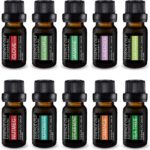 Pure Daily Care Aromatherapy Top 10 Essential Oil Set  Therapeutic Grade Single Ingredient Oils  Uplift Mind, Body and Spirit  10 x 10 Ml Bottles  No Fillers & No Additives