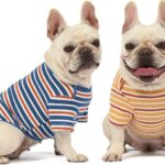 Dog Shirts Cotton Striped T-Shirt, Summer Pet Clothes for Small Dogs, 2-Pack Soft Puppy Apparel Cat Tee, Breathable Stretchy, Blue Yellow M