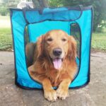 Pop Open Collapsible Travel Crate in 2 Sizes (Large)