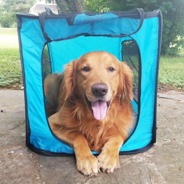 Pop Open Collapsible Travel Crate in 2 Sizes (Large)