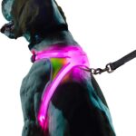 Noxgear LightHound  Revolutionary Illuminated and Reflective Harness for Dogs Including Multicolored LED Fiber Optics (USB Rechargeable, Adjustable, Lightweight, Rainproof) (Large)